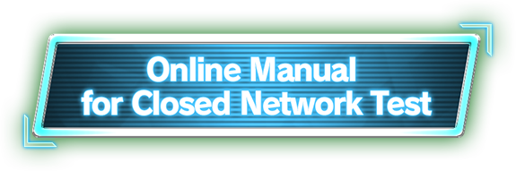 Online Manual for Closed Network Test