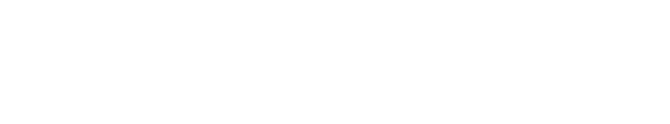 一般版