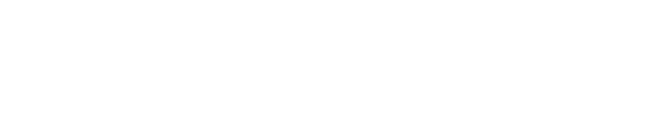 數位豪華版