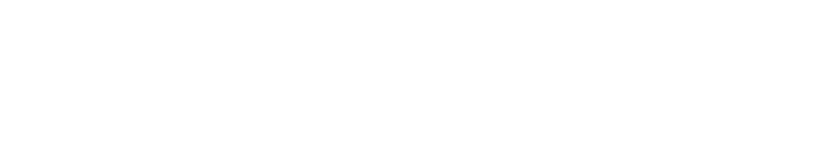 普通版