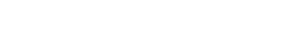 디지털 디럭스 에디션