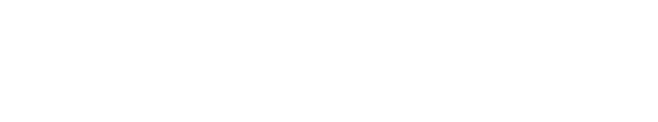 【패키지판】소닉×섀도우 제너레이션즈: 컬렉터즈 에디션