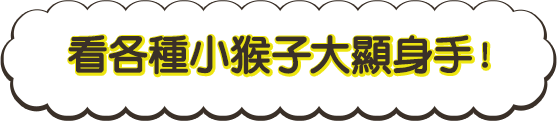 看各種小猴子大顯身手！