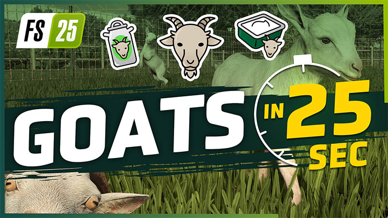 Introducing Goats!