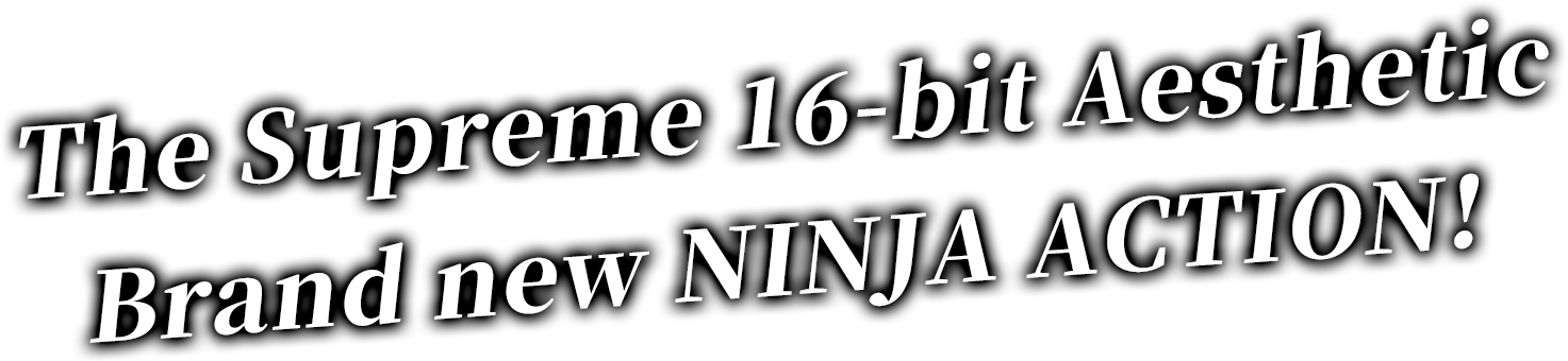 The Supreme 16-bit Aesthetic Brand new NINJA ACTION!