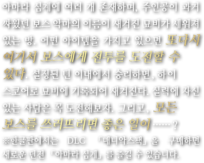 아마라 심계에 여러개 존재하며, 주인공이 과거 싸웠던 보스 악마의 이름이 세겨진 묘비가 세워져 있는 방. 어떤 아이템을 가지고 있으면 또다시 여기서 보스에게 전투를 도전할 수 있다. 설정된 턴 이내에서 승리하면, 하이 스코어로 묘비에 기록되어 세겨진다. 실력에 자신 있는 사람은 꼭 도전해보자. 그리고,모든 보스를 쓰러뜨리면 좋은 일이……？