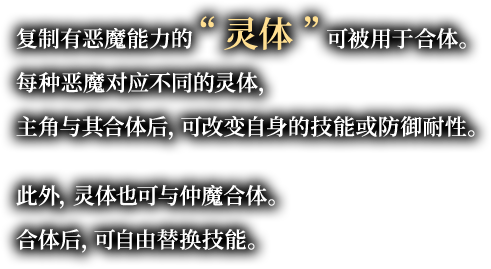 复制有恶魔能力的“灵体”可被用于合体。每种恶魔对应不同的灵体，主角与其合体后，可改变自身的技能或防御耐性。此外，灵体也可与仲魔合体。合体后，可自由替换技能。