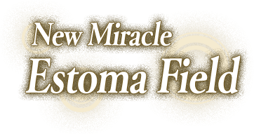 New Miracle Estoma Field