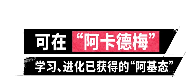 可在“阿卡德梅”学习、进化已获得的“阿基态”