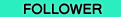 FOLLOWER