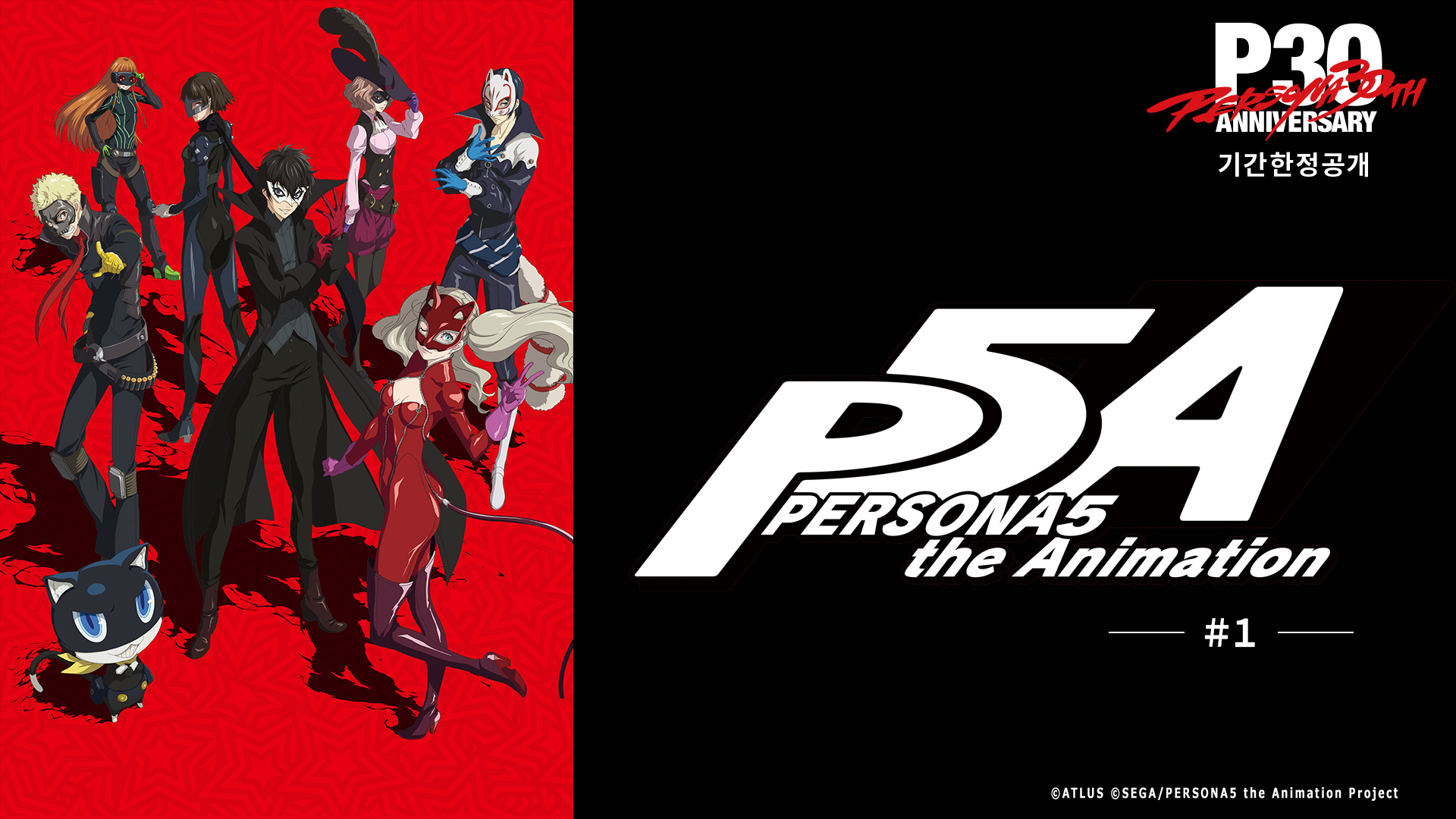 TV 애니메이션 『PERSONA5 the Animation』기간 한정 무료 스트리밍!