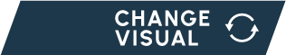 CHANGE VISUAL