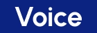 VOICE