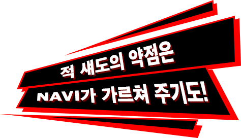 적 섀도의 약점은 NAVI가 가르쳐 주기도!