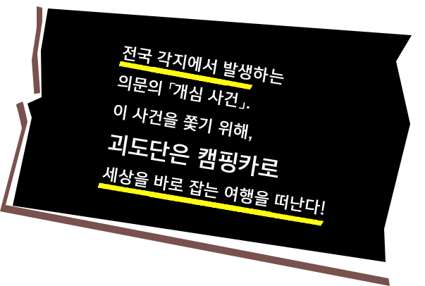 전국 각지에서 발생하는 의문의 「개심 사건」. 이 사건을 쫓기 위해, 괴도단은 캠핑카로 세상을 바로 잡는 여행을 떠난다!