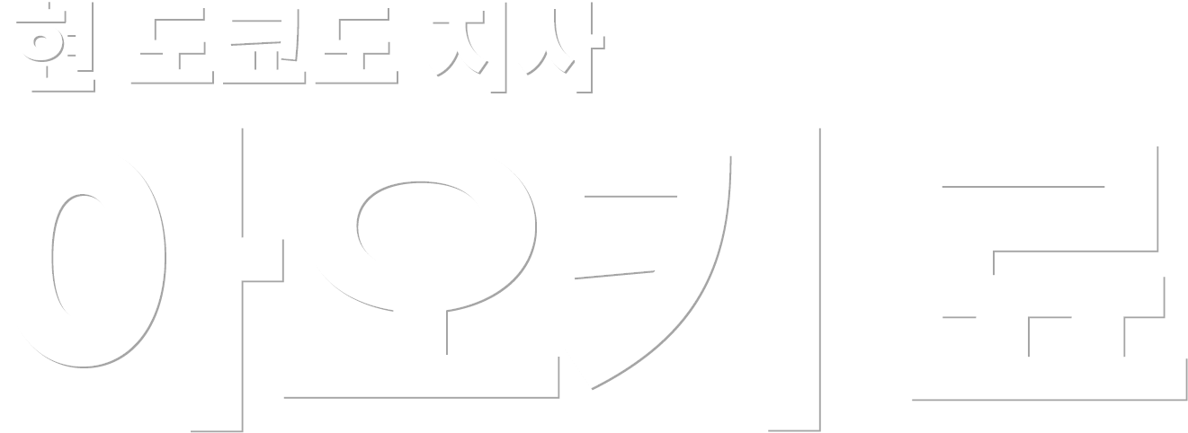 현 도쿄도 지사 아오키 료