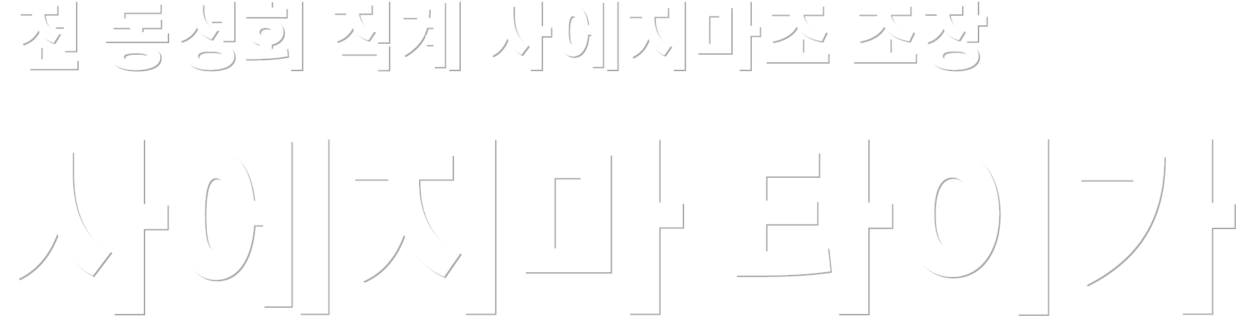 전 동성회 직계 사에지마조 조장 사에지마 타이가