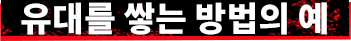유대를 쌓는 방법의 예