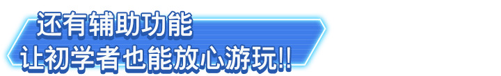 还有辅助功能让初学者也能放心游玩！！