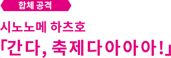 합체 공격 시노노메 하츠호「간다, 축제다아아아!」