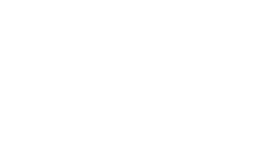 SHINOBI