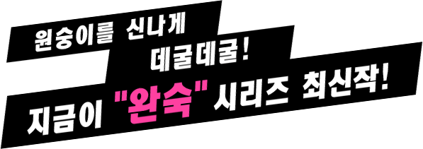 원숭이를 신나게 데굴데굴!지금이”완숙”시리즈 최신작!