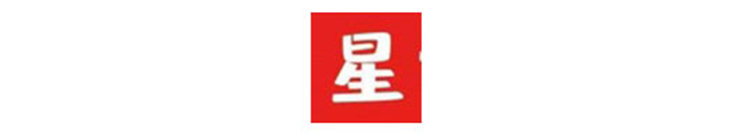 星之遊戲