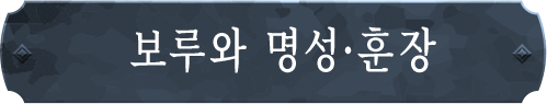 보루와 명성·훈장