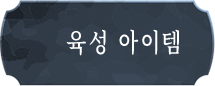육성 아이템