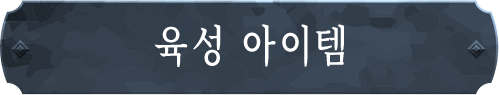 육성 아이템