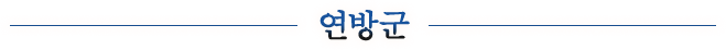 연방군
