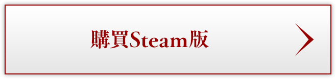 Steam版購入