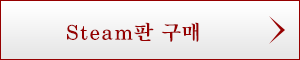 Steam版購入